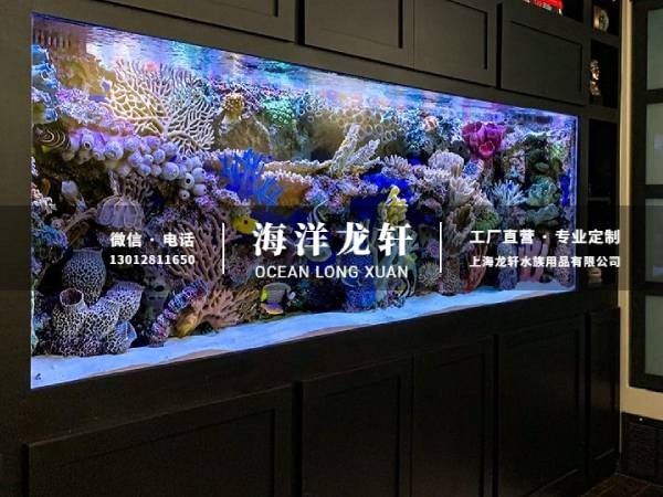 家装玄关鱼缸定制案例