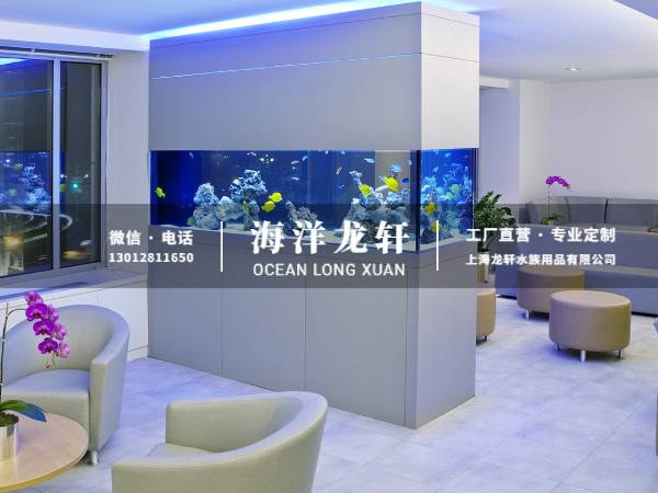 办公室隔断鱼缸定制