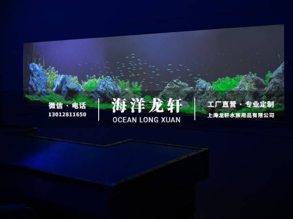 内嵌鱼缸定制