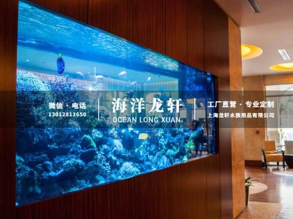 办公会所观赏鱼缸定制