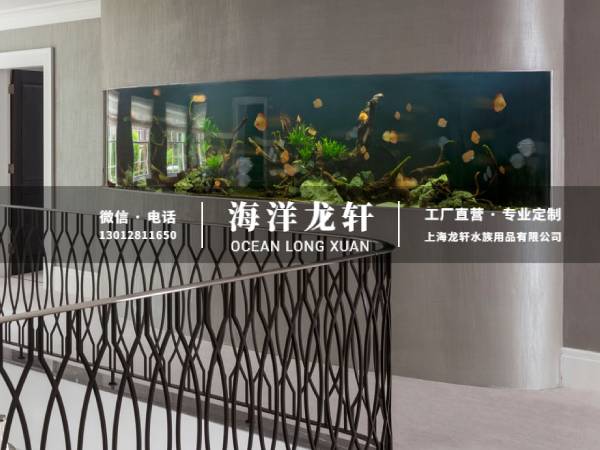 弧形鱼缸定制