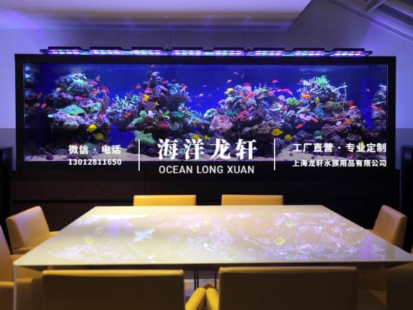 大型观赏鱼缸