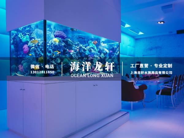 独立式鱼缸定制