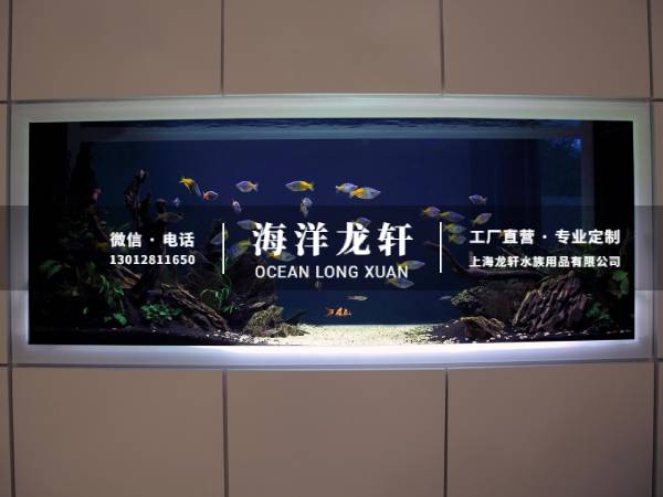 淡水鱼缸定制