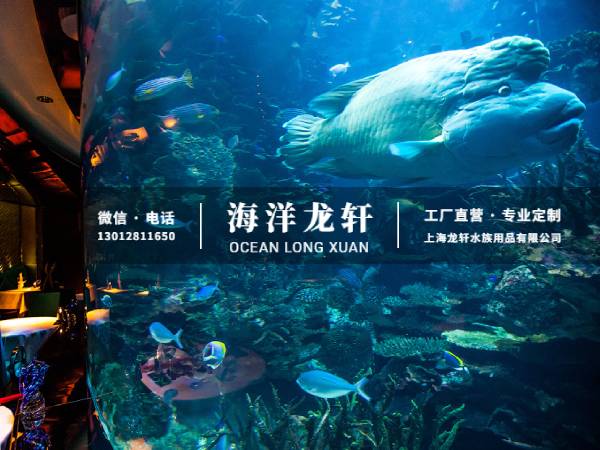 海洋餐厅工程案例