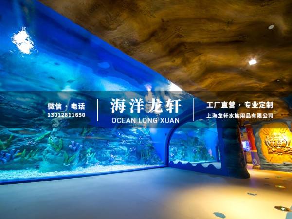 海洋馆设计&施工
