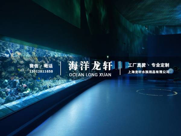 海洋馆设计&施工
