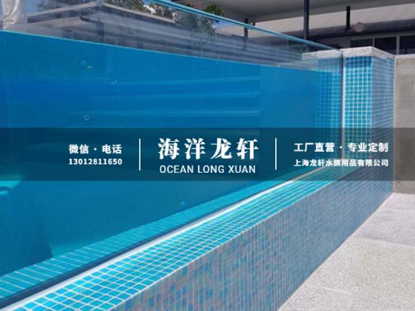 经典无边际泳池案例