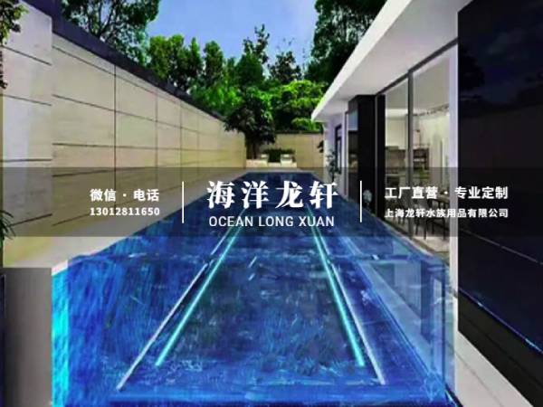 经典无边际泳池案例