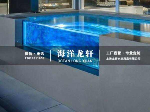 经典无边际泳池案例