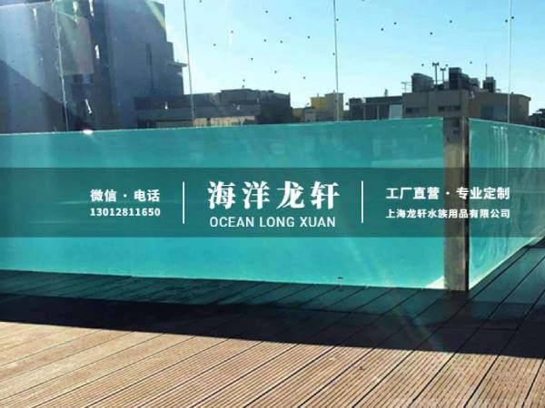 经典无边际泳池案例