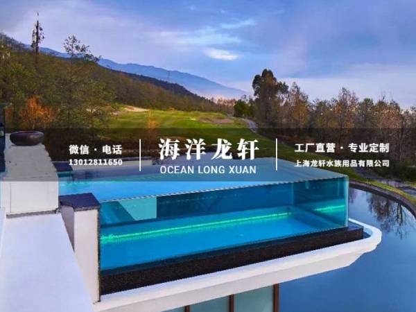 经典无边际泳池案例