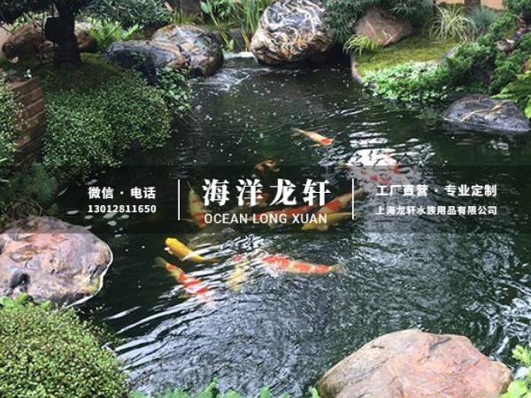 锦鲤鱼池案例