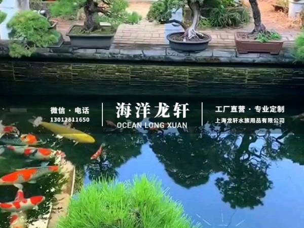 锦鲤鱼池案例
