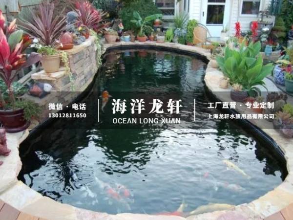 锦鲤鱼池案例