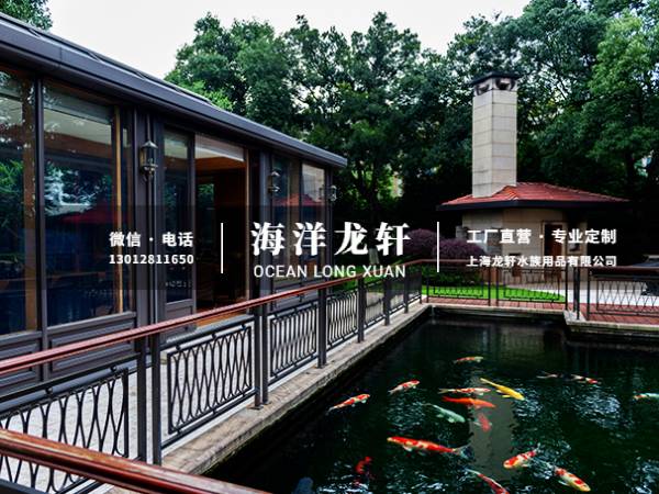 锦鲤鱼池案例