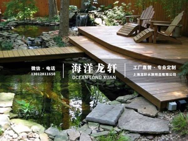 锦鲤鱼池案例
