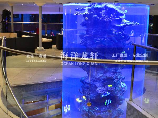商场圆柱鱼缸定制案例