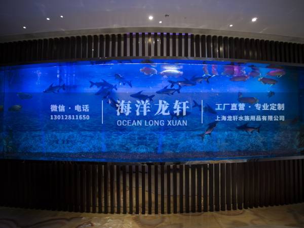 弧形鱼缸定制