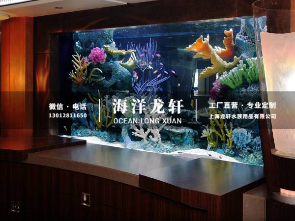 办公会所内嵌式大型鱼缸定制