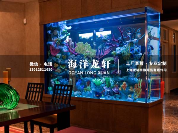 公司大厅隔断鱼缸定制案例