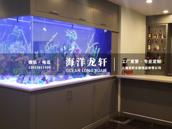 家装玄关鱼缸定制案例