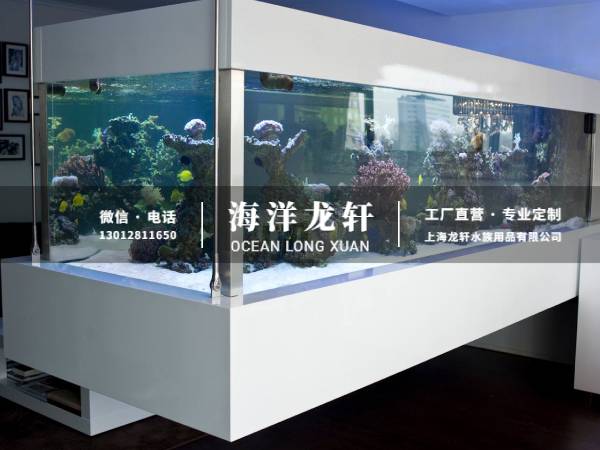 客厅隔断鱼缸定制案例