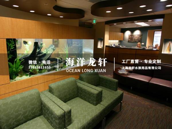 家装客厅观赏鱼缸定制案例