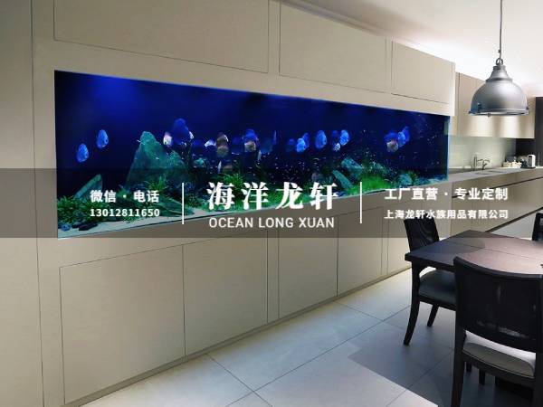 大型家装观赏鱼缸定制案例