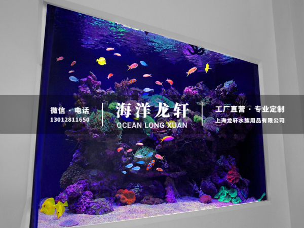 家装海水鱼缸定制案例