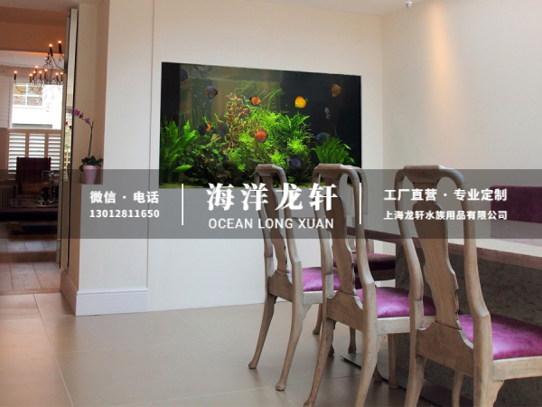 家装客餐厅隔断鱼缸定制案例