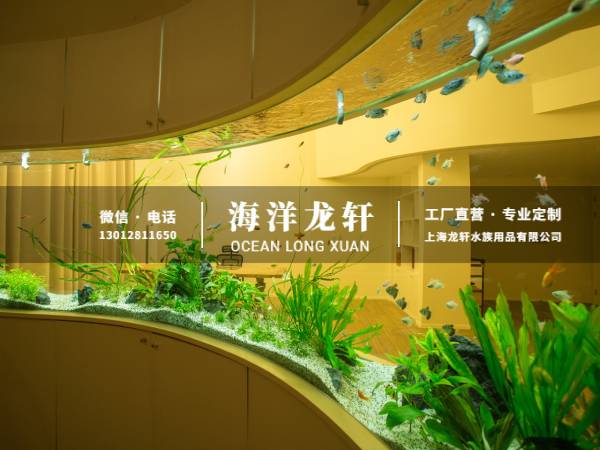 酒店大堂亚克力弧形鱼缸定制案例