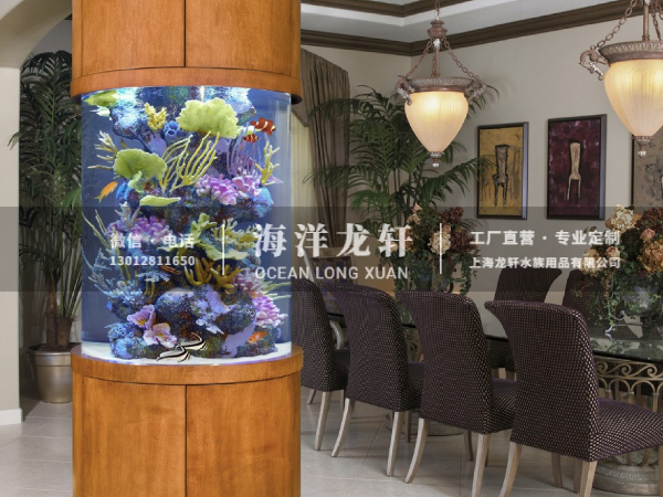 公司亚克力圆柱缸定制案例