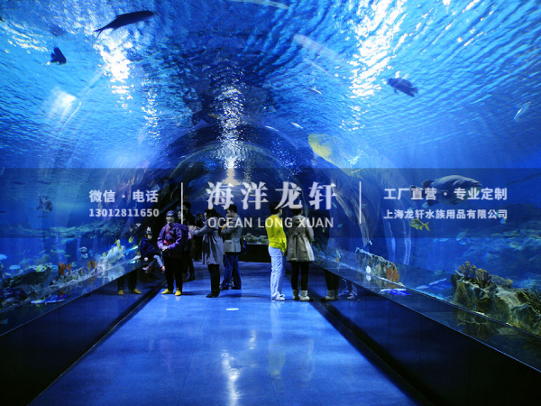 海洋馆设计&施工案例