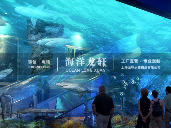海洋馆设计&施工案例