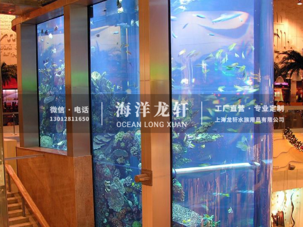 海洋馆设计&施工案例