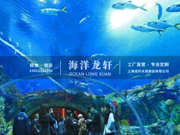 海洋馆设计&施工案例