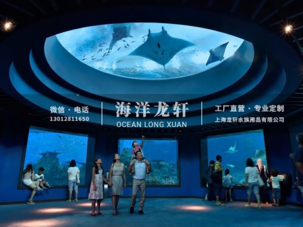 海洋馆设计&施工案例