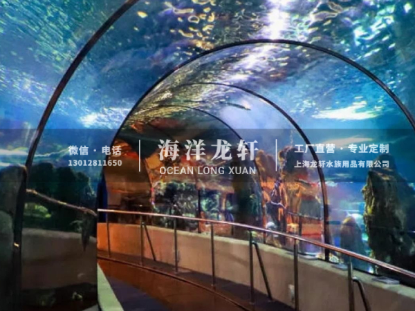 海洋馆设计&施工案例