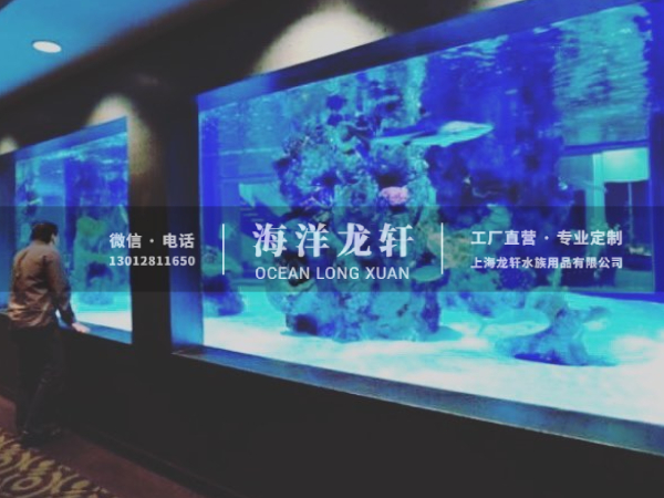 海洋馆设计&施工案例