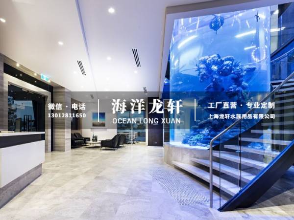 公司大型亚克力圆柱鱼缸定制