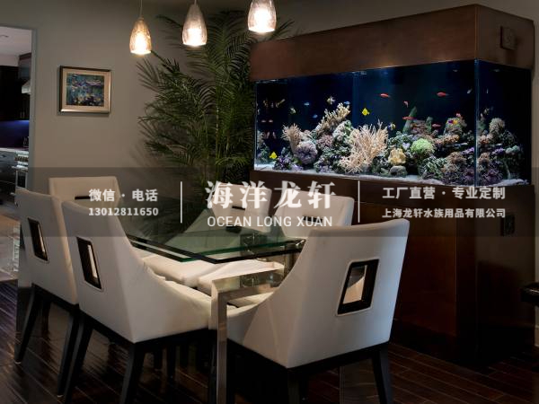 家装观赏鱼缸定制