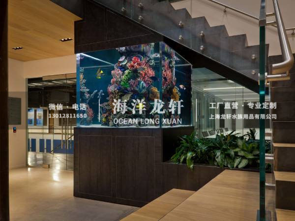 家装观赏海水鱼缸定制
