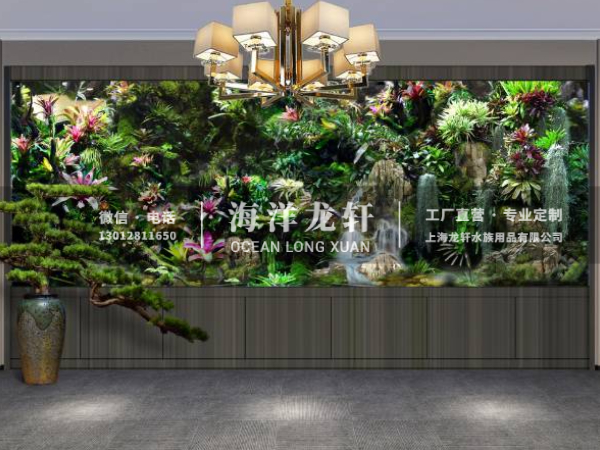 生态雨林缸定制