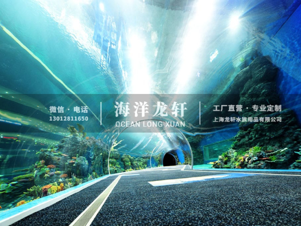 海洋馆设计&施工