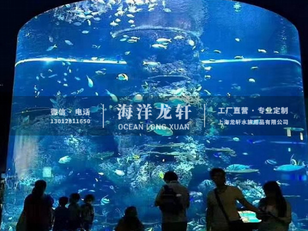 海洋馆设计&施工
