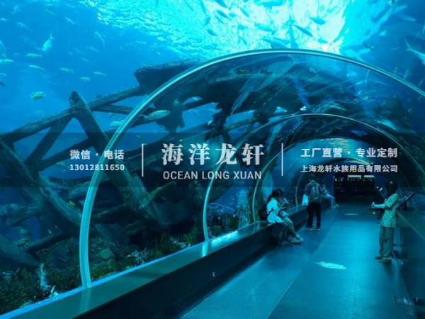 海洋馆设计&施工