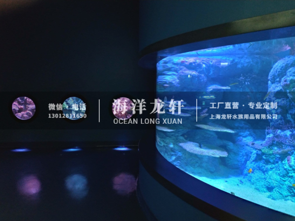 海洋馆设计&施工