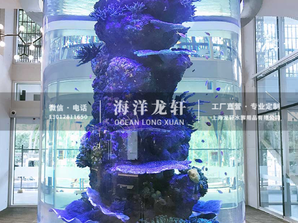 办公会所圆柱形鱼缸定制